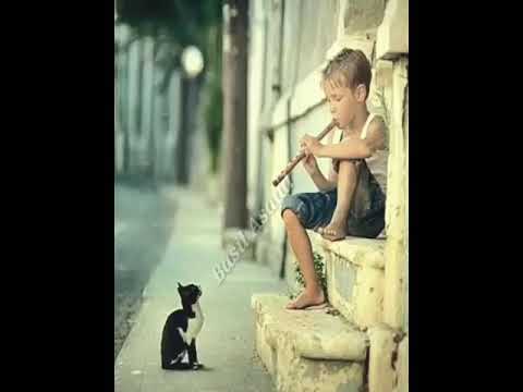 ناي حزين موسيقى حزينة جدا حالات واتس آب 