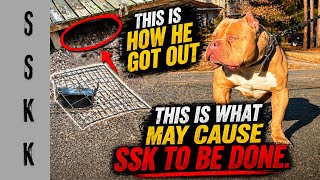 Pt. 1 To What Happened @ SSKK Dog Passing!