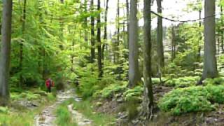 Bastogne And Surroundings Belgium, 0509 2