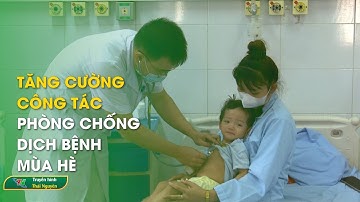 Tăng cường công tác phòng, chống dịch bệnh mùa hè | Thái Nguyên TV