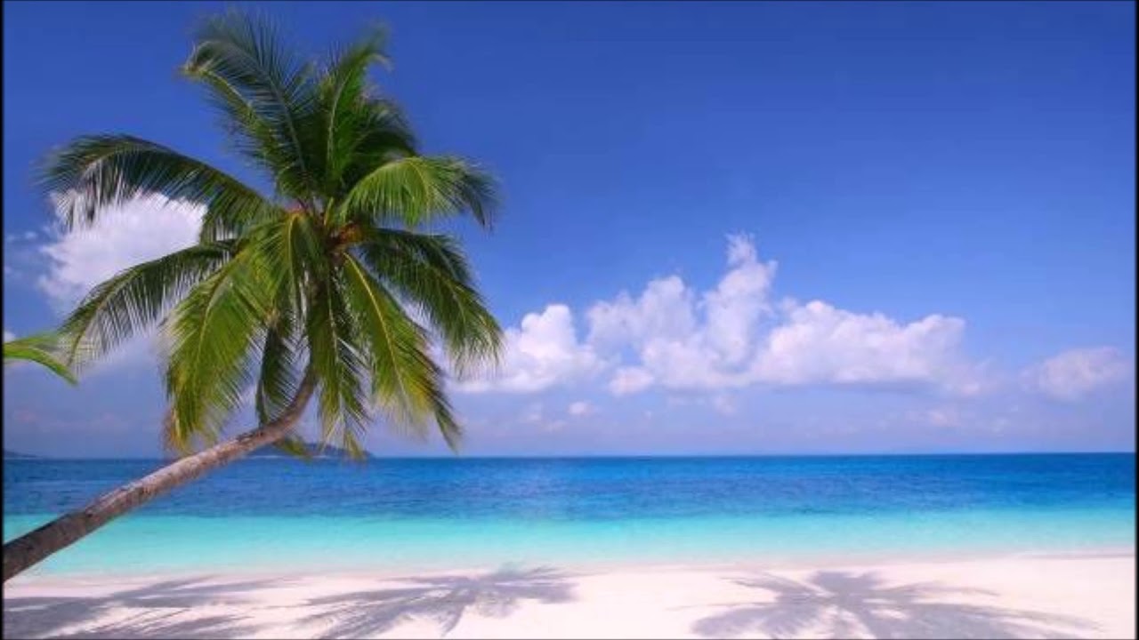 Tafsir Ya Qur'an 7: Sheikh Abdullah Saleh Al-Farsiy (1973)