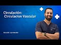 Circulacion vascular