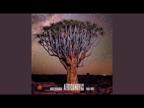 Africayunis (feat. Paula Yunis)