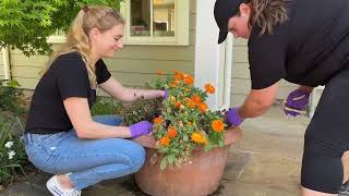 Corporate Volunteer Work Day  2023