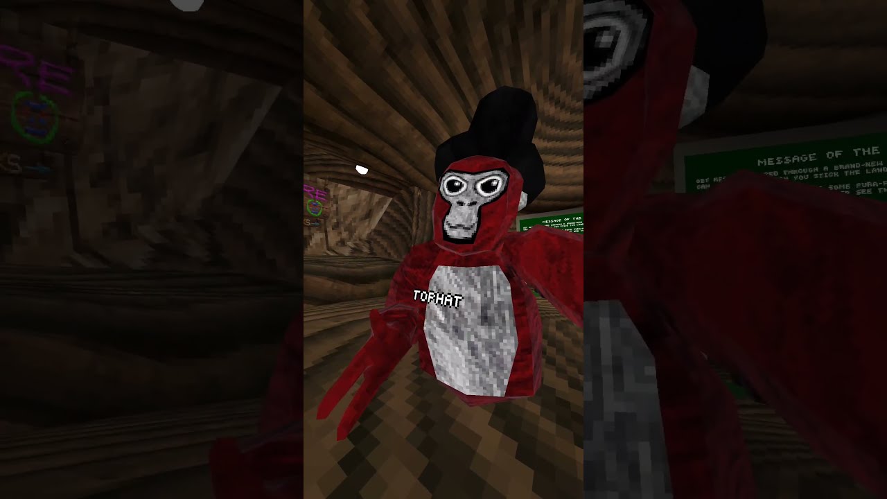 Im Starting A New Series Gorillatag Vr