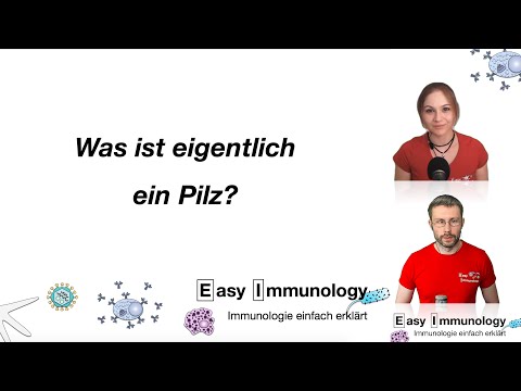 Video: Welche Funktion haben Pilze und Bakterien gemeinsam?