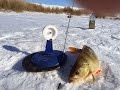 Мечта рыбака. Зимняя рыбалка на Торгае.