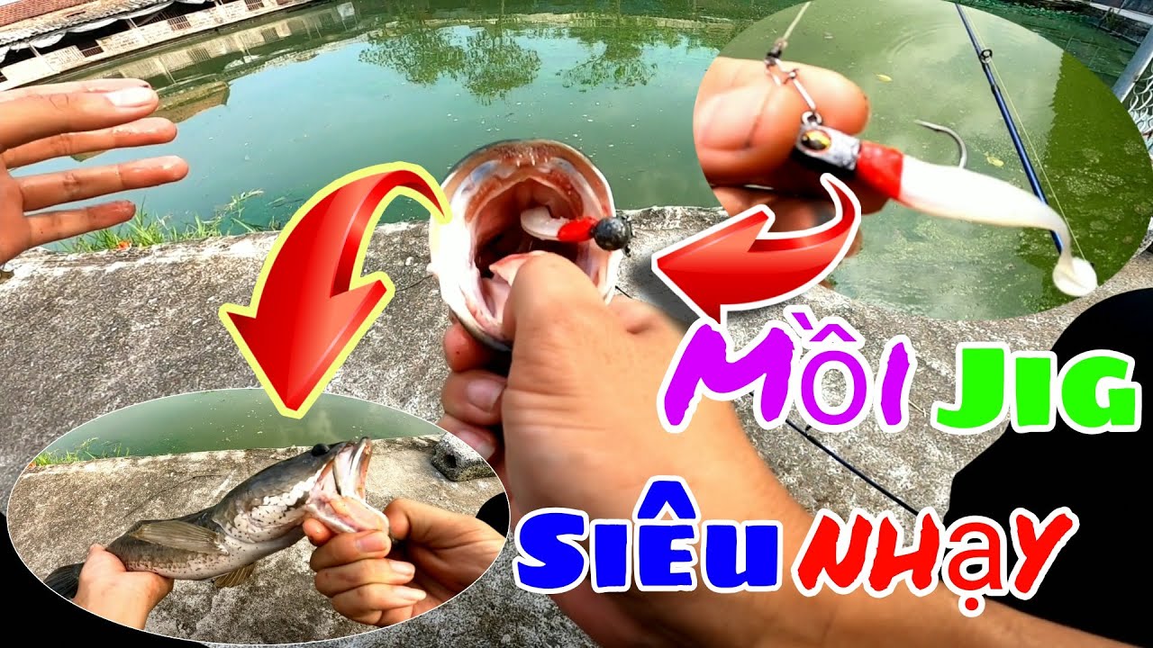 Thóc TV - Câu Lure Mồi JIG Siêu Nhạy