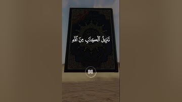 ماهر المعيقلي - سورة الزمر - تلاوة خاشعة #اكسبلور