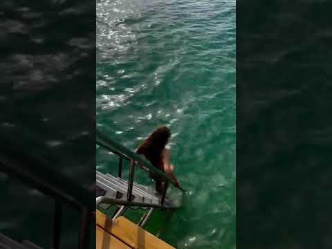 Burcu Özberk #burcuözberk #bikini #deniz
