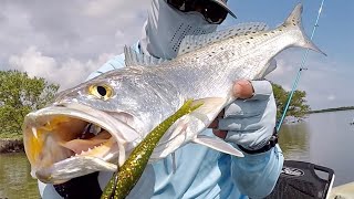 5 Tips To Catch Spooky Redfish, Snook, & Trout In Clear, Shallow Water