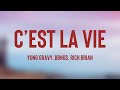 C’est La Vie - Yung Gravy, bbno$, Rich Brian (Lyrics Version) 🏕