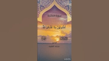 (ٱلۡيَوۡمَ أَكۡمَلۡتُ لَكُمۡ دِينَكُمۡ)سورة المائدة للشيخ محمد الفقيه حفظه الله ورعاه