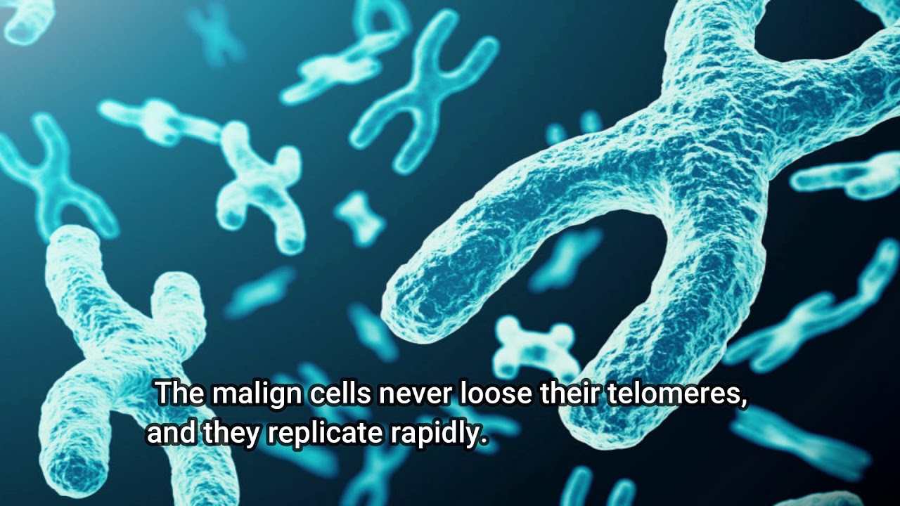 Нашите хромозоми - 10 interesting facts about the chromosomes