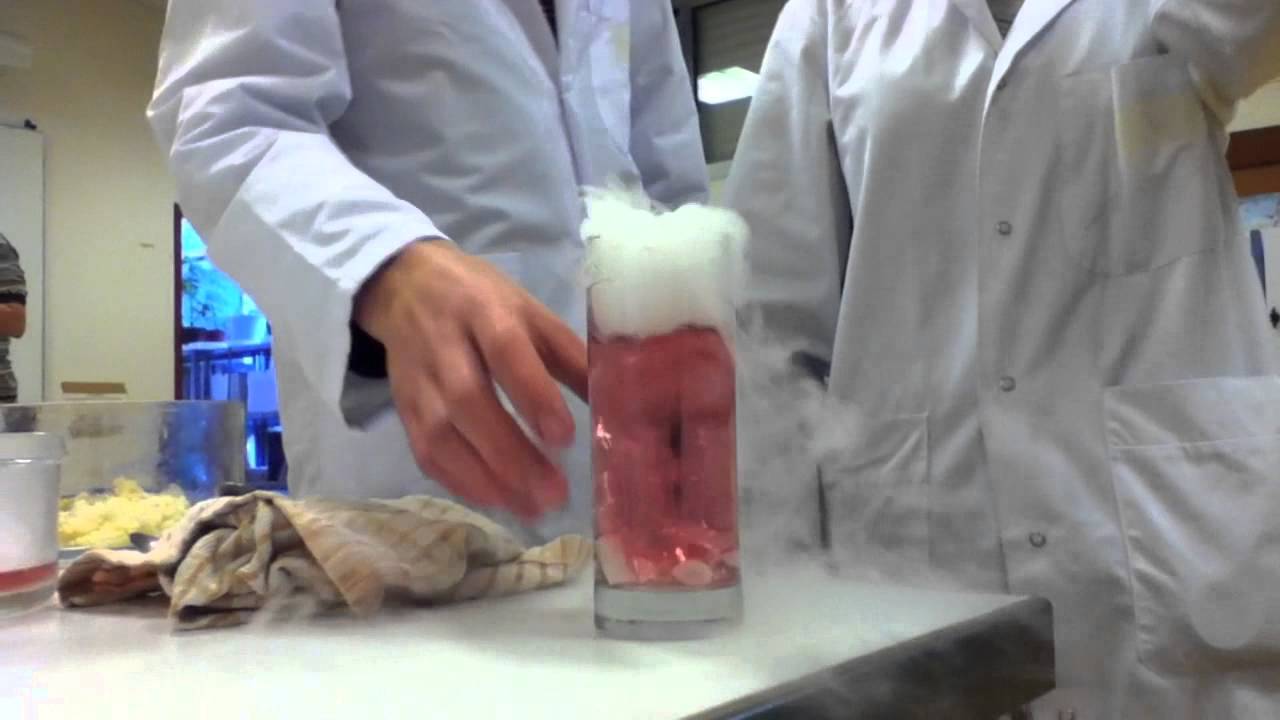Tpe cocktail neige carbonique. YouTube — free download
