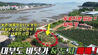(매물번호 : L508) 대부도 바닷가 제 1열에 위치하고 도로지분 필요 없는 알짜 토지 매매 물건입니다!