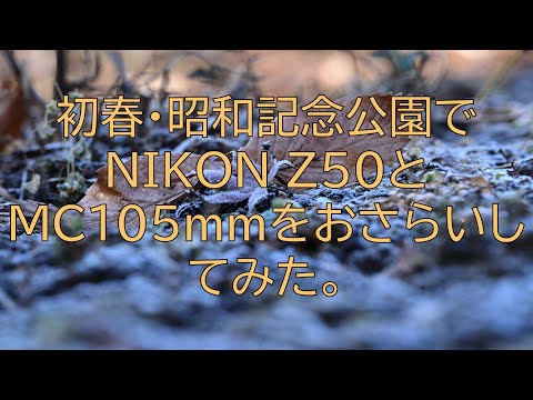 [#256] 初春・昭和記念公園でNIKON Z50とMC105mmおさらいしてみた。