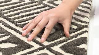 Cambridge Collection by Safavieh - Ivory & Charcoal CAM402A