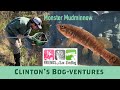 Monster Mudminnow: Clinton&#39;s Bog-ventures in Sax-Zim Bog