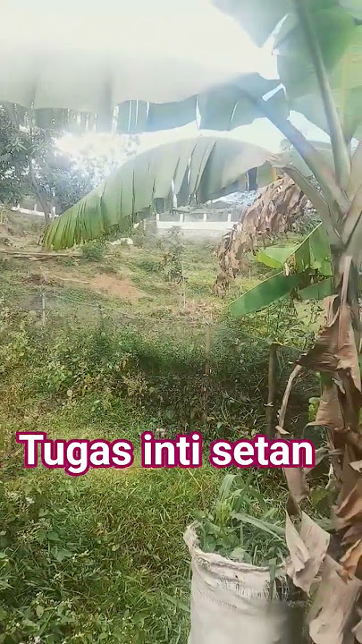 bismillah semoga bermanfaat aamiin 🤲 ceramah singkat ustadz Adi Hidayat