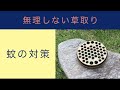 【簡単ガーデニング】手間がかからない草取り/ マルチング雑草対策/ 庭仕事時の蚊の対策