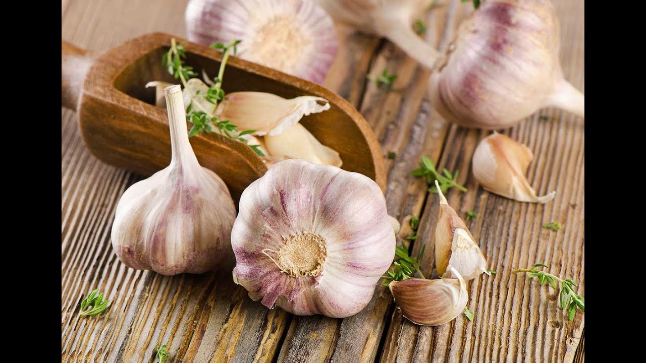 \"Чесночок\"-автор Нина Разумейчик - YouTube