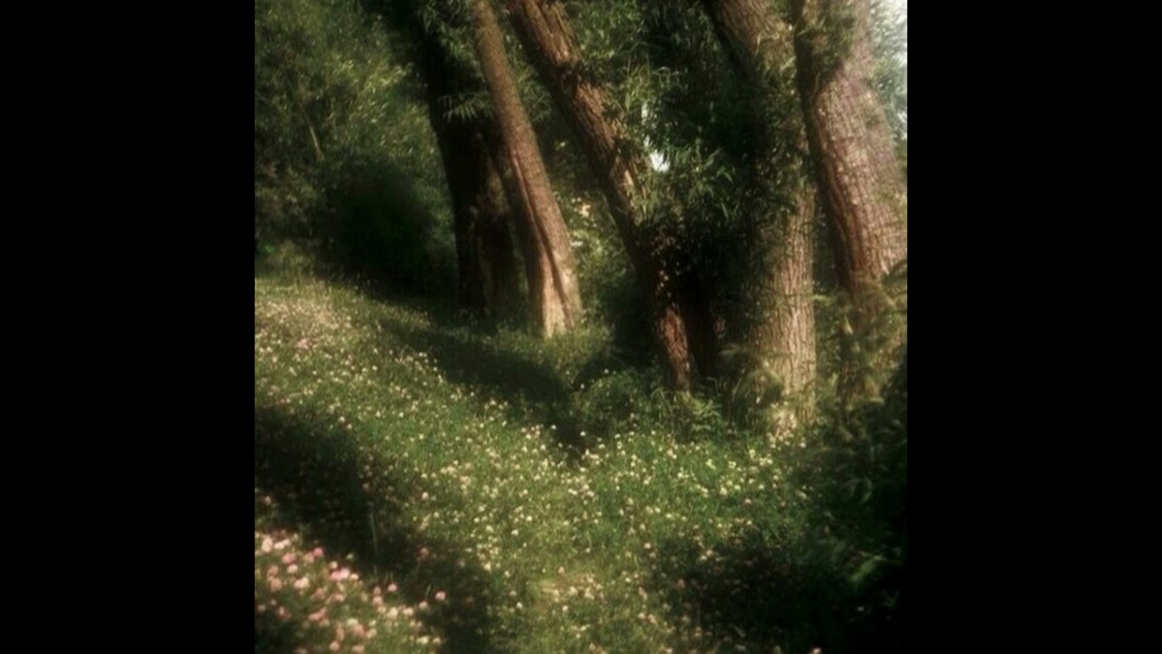 Femi Tahiru - Jussai