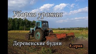 УБОРКА УРОЖАЯ. Деревенские будни, 8 серия