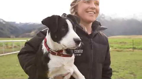 My Southland Story Laura Douglas, the Southern Gir...