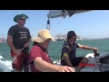 Sailing On Ladybird