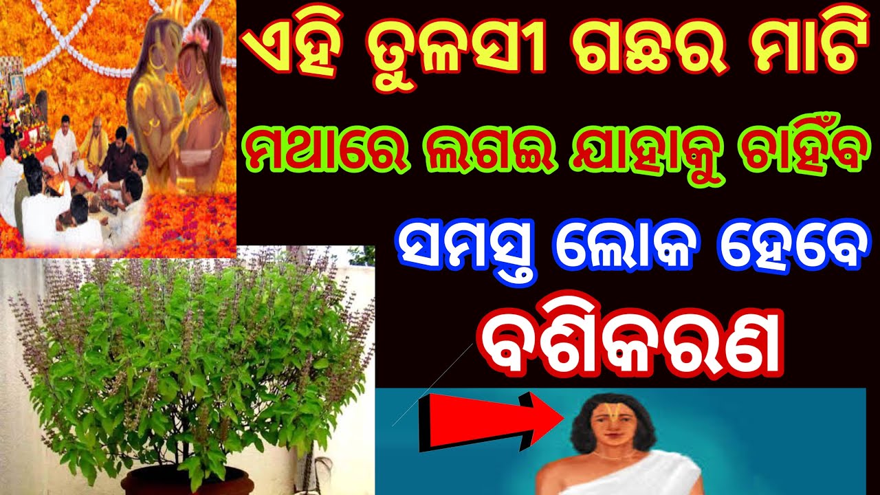 vashikaran powerful vashikaran Vashikaran mantra Odia vashikaran