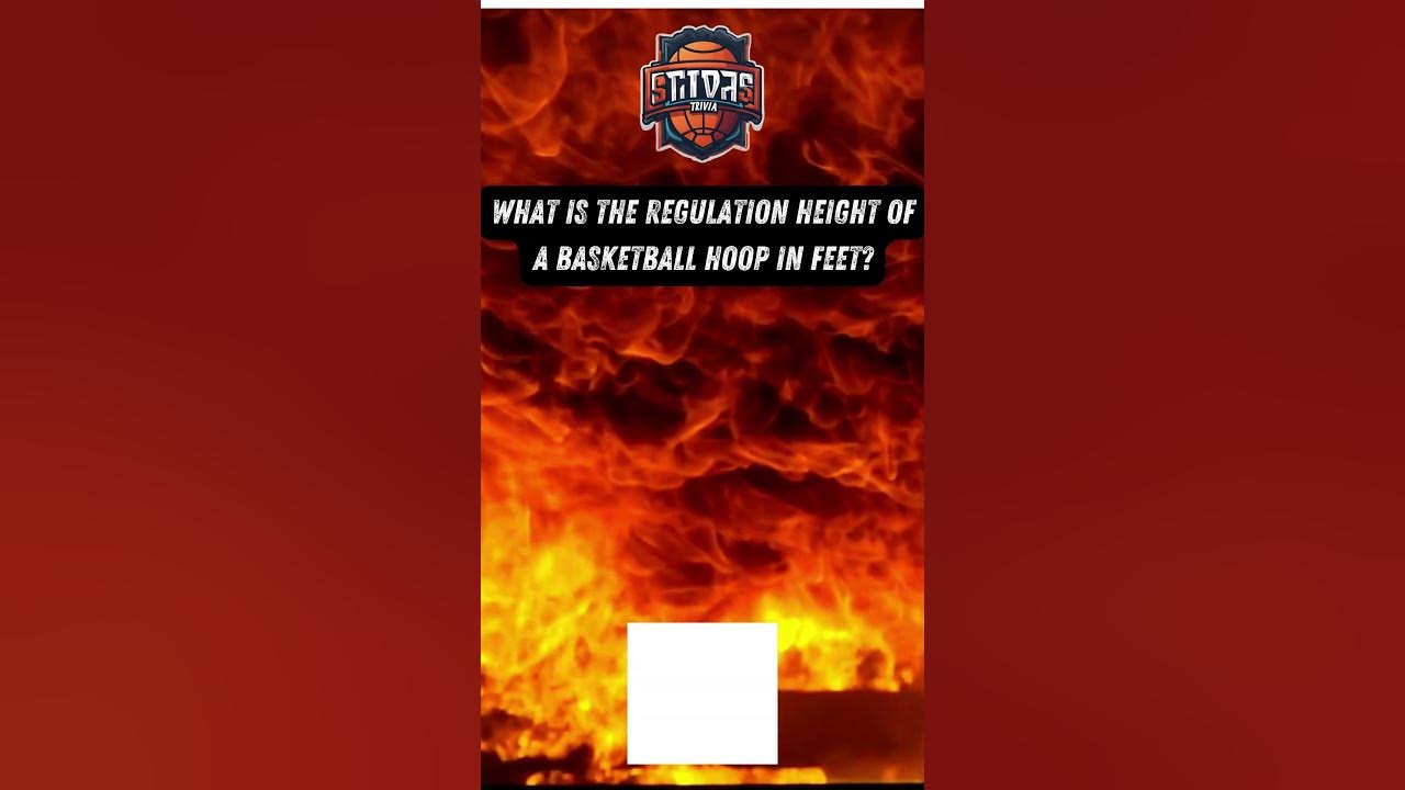 basketball-hoop-height-how-high-is-it-youtube