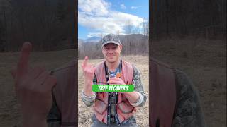 You Dont Know What Flowers Look Like