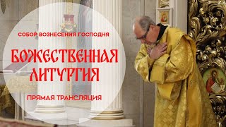 🔴Божественная Литургия.Прямая трансляция