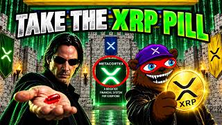 XRP Futures Are EXPLODING... What Happens Sept 15? XRP MATRIX GLITCH screenshot 3