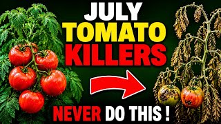 Five Tomato Growing Mistakes You Must NEVER Make in July (Number 4 Kills Plants!)