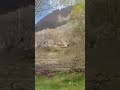 صدای ماندگار شکرو صدای ماندگار شکرو