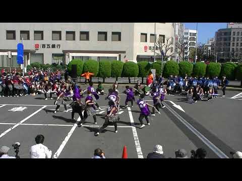 名古屋学生チーム『鯱』「築いた先へ」安濃津よさこい2019