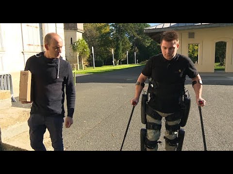 Vidéo: A un exosquelette chitineux ?