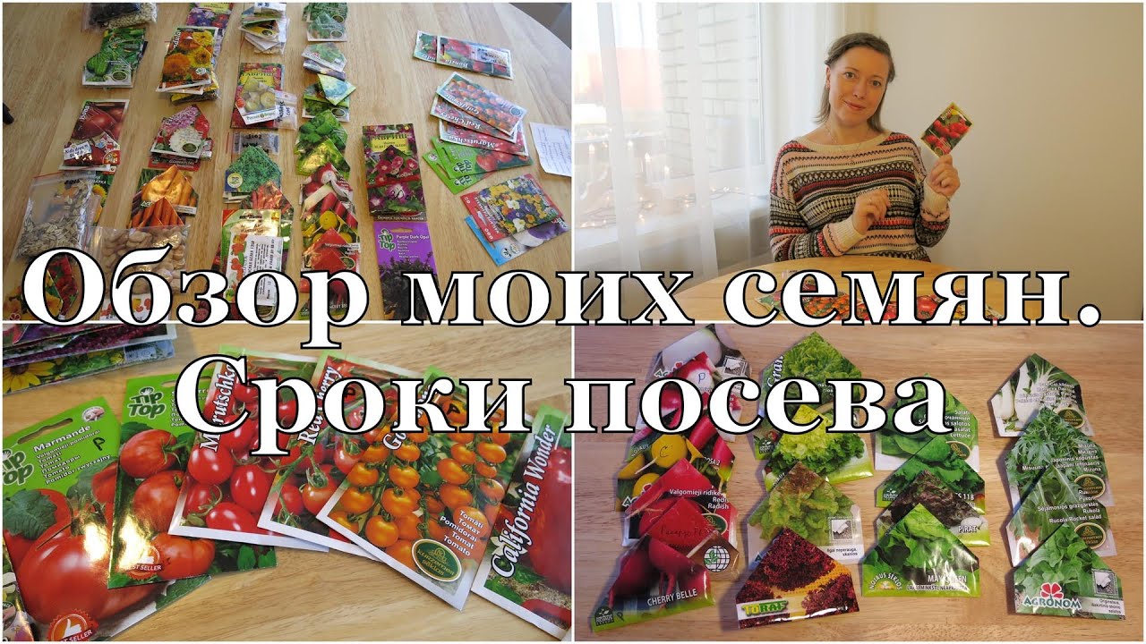 ⁣Сроки посева семян. Обзор моих семян // Dates of starting seeds. Review my seeds