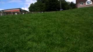 My absolute fail of a dive roll