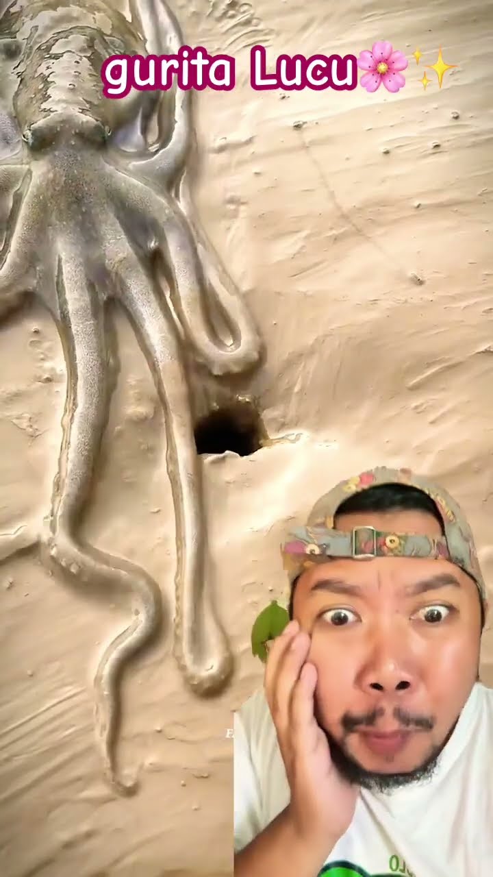 GURITA LUCU NUMPANG LEWAT!!!??