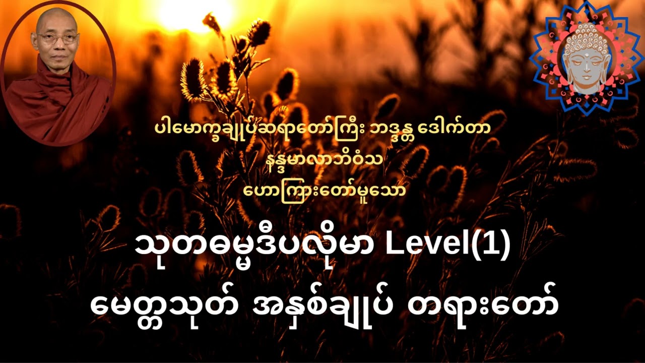 မေတ္တသုတ် အနှစ်ချုပ် တရားတော်