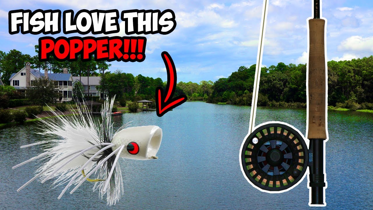 CRAZY Topwater Fly Fishing for BASS!!!