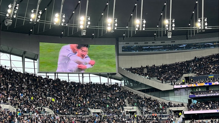 [현장직캠] 손흥민 19호골! 경기를 끝내버린 미친 감아차기에 현지 반응 직캠!