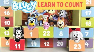 Learn to Count with Bluey Surprises! | Bunya Toy Town