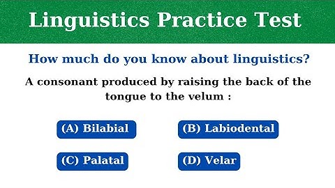 Test Your Linguistics Knowledge! | Linguistics Practice Test | Linguistics Quiz | Linguistics MCQS