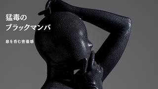 【禁断の美学】光で浮かび上がる妖艶なヘビ柄。猛毒のブラックマンバ｜ZD15 着用展示｜ZentaiDreamer｜2026/6/11