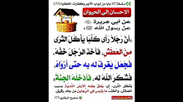 الاحسان الى الحيوان 