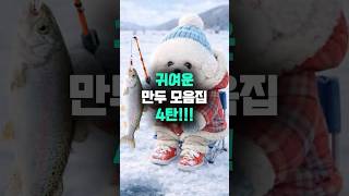 귀여운만두모음집4탄!